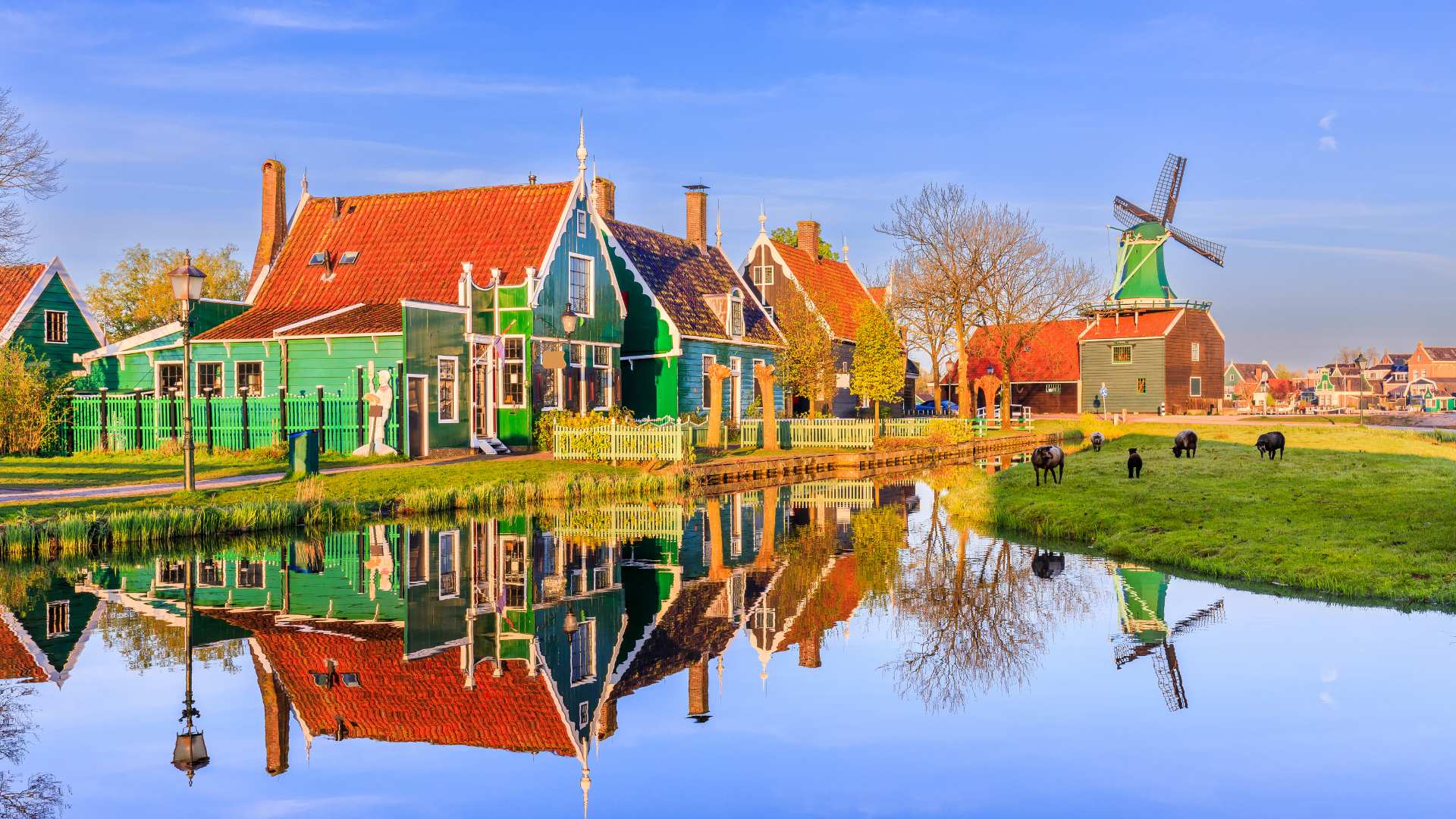 Amsterdam e l’Olanda: tour organizzato tra mulini a vento e tulipani - Zaanse Schans